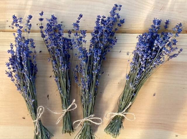 Dried English Lavender Mini Bunches
