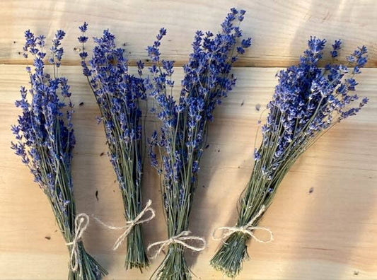 Dried English Lavender Mini Bunches