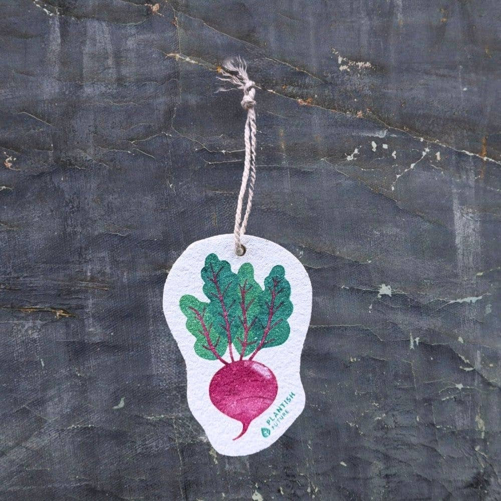 Beet Pop Up Sponge