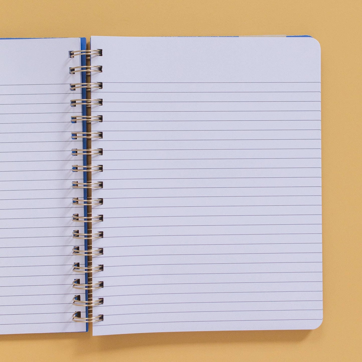 Dapper Dogs Spiral Notebook