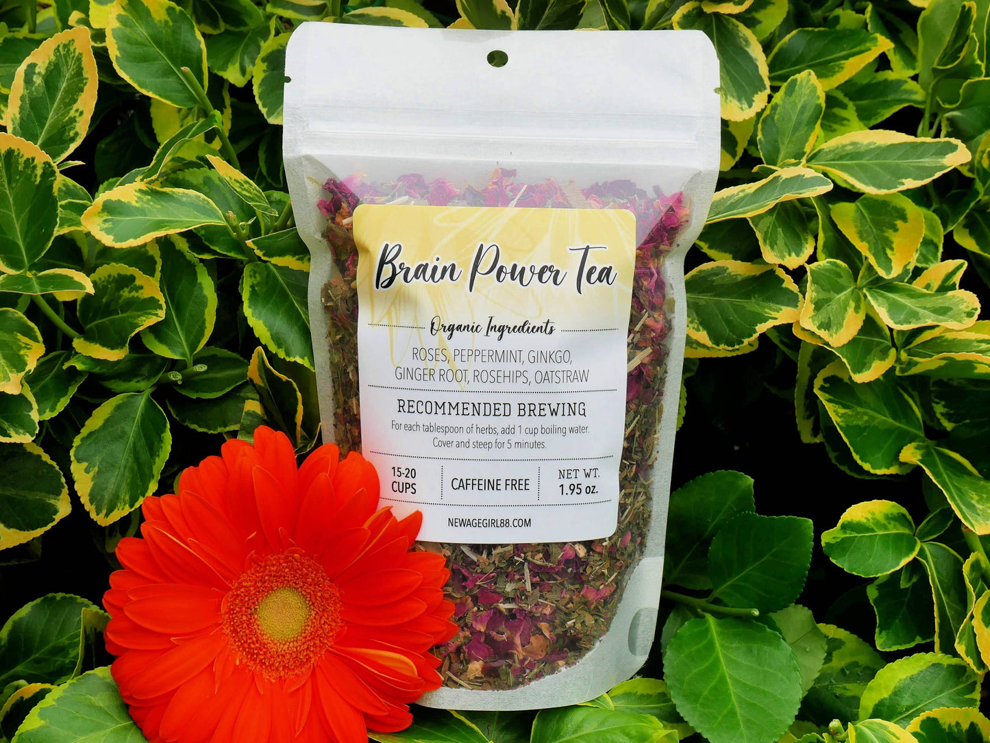 Brain Power Tea Organic Herbal Loose Tea