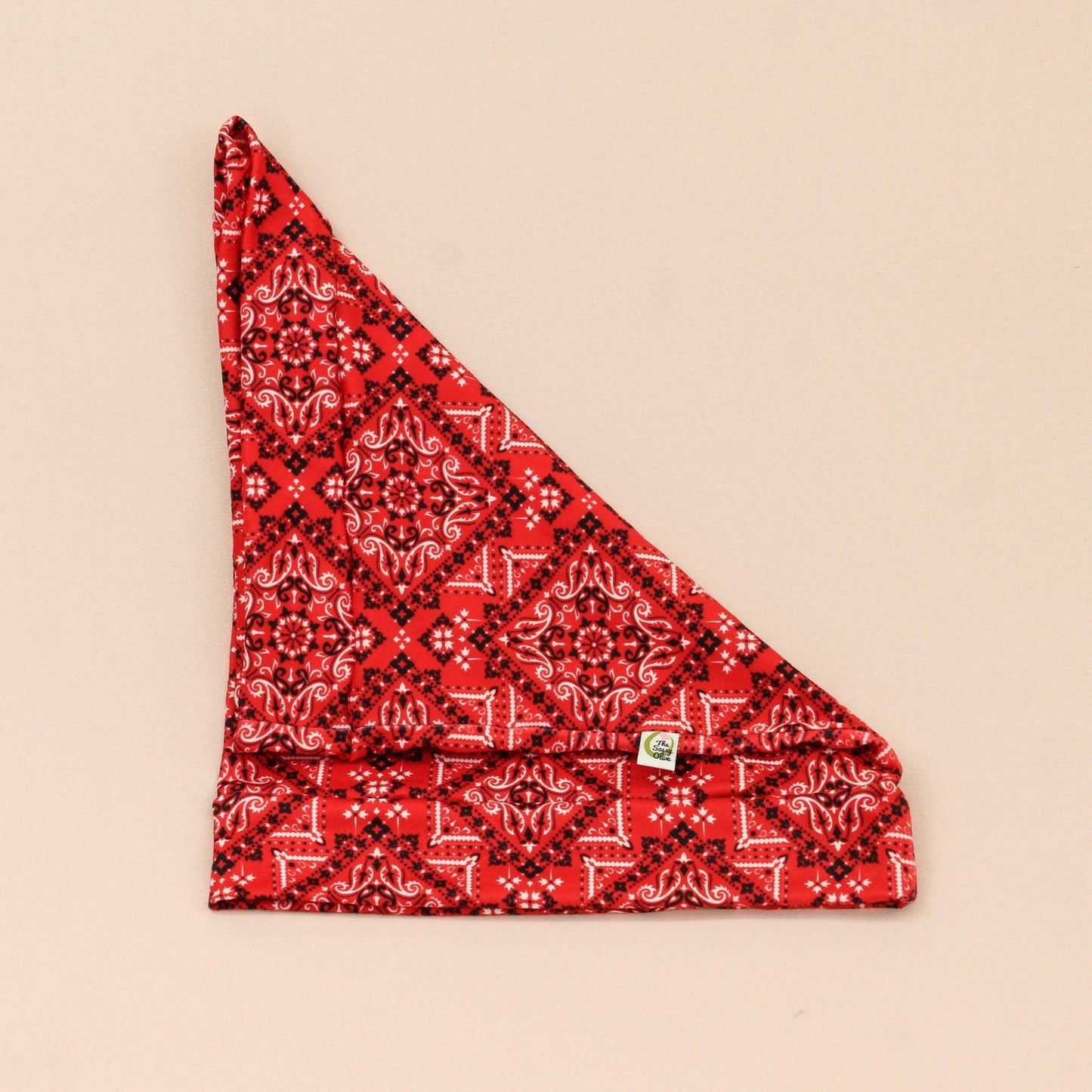 Red Bandana Paisley Boho Buff