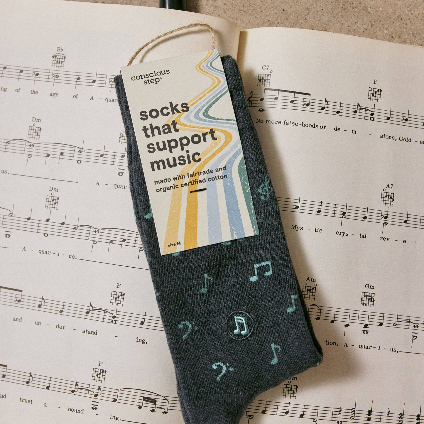 Socks that Support Music (Gray Music Notes