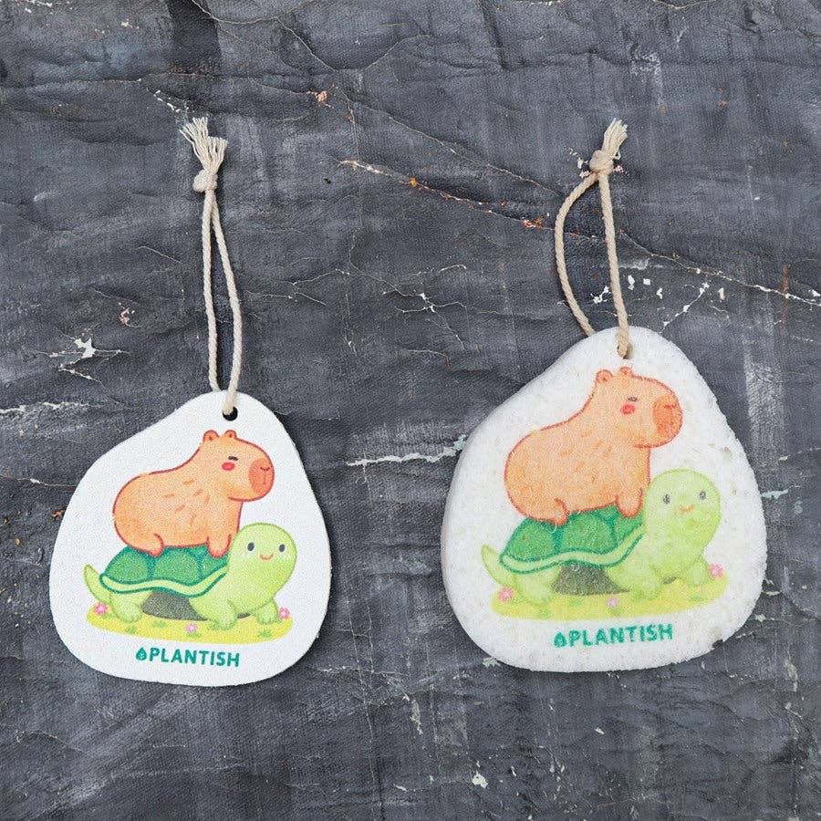 Turtle Ride - Pop up Sponge (Capybara Creations)