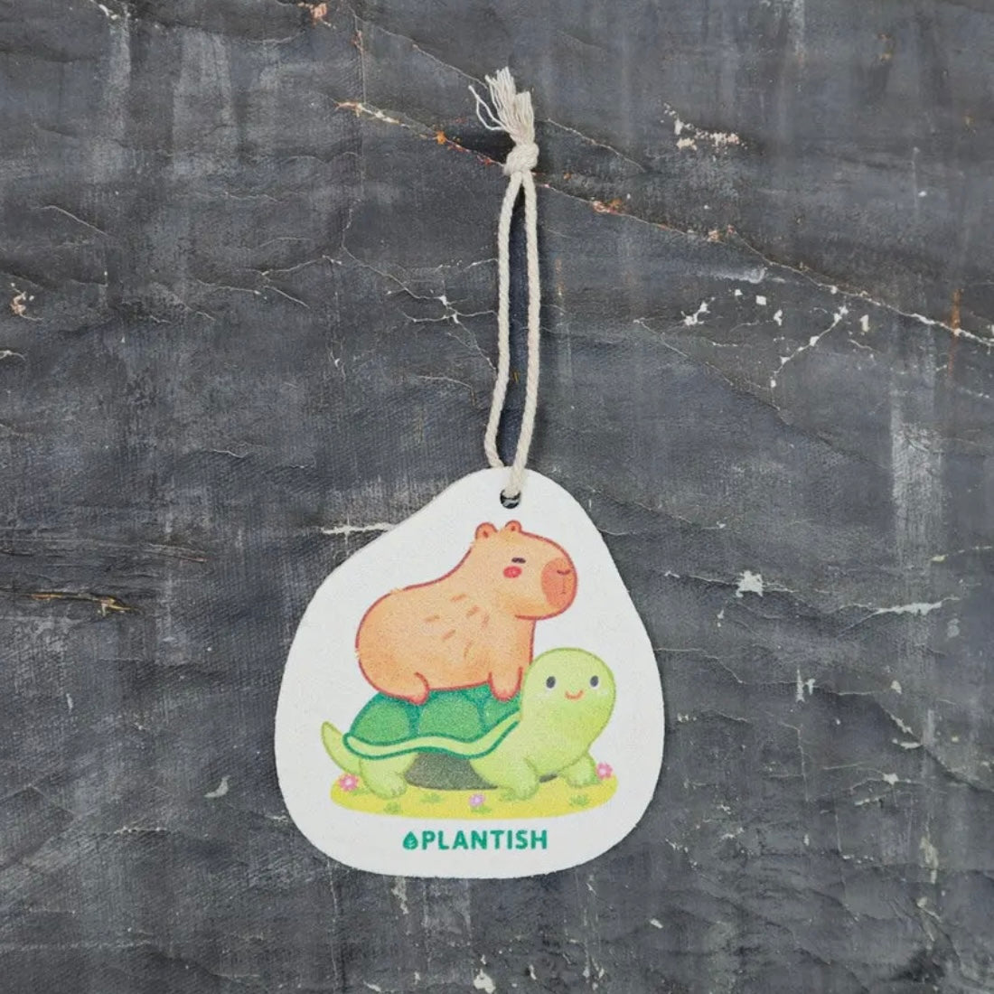 Turtle Ride - Pop up Sponge (Capybara Creations)